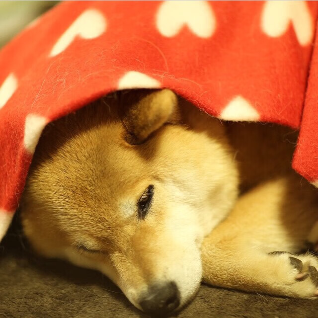 开云平台-火箭险胜雷霆！马克西关键时刻冷血绝杀，演绎青春风暴